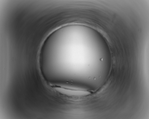 X0000089861530200707191911