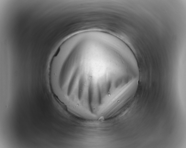 X0000089861532200707191911