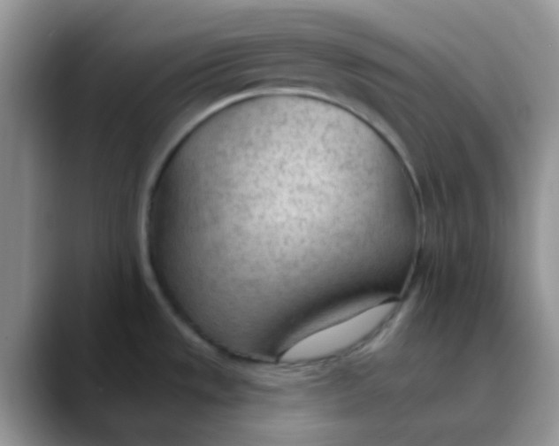 X0000089861533200707191911