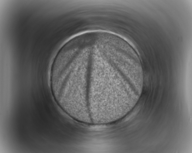 X0000089861535200707191911