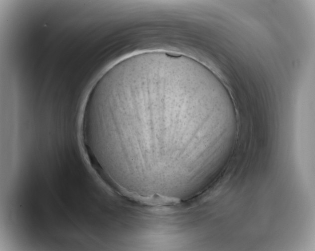 X0000089861536200707191911