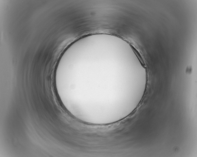 X0000089860001200707262138
