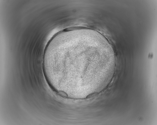 X0000089860003200707262138
