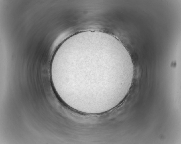 X0000089860004200707262138