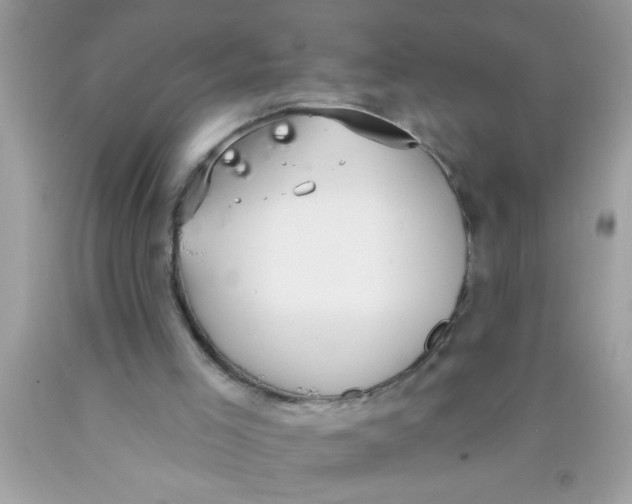 X0000089860005200707262138