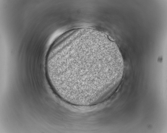 X0000089860006200707262138
