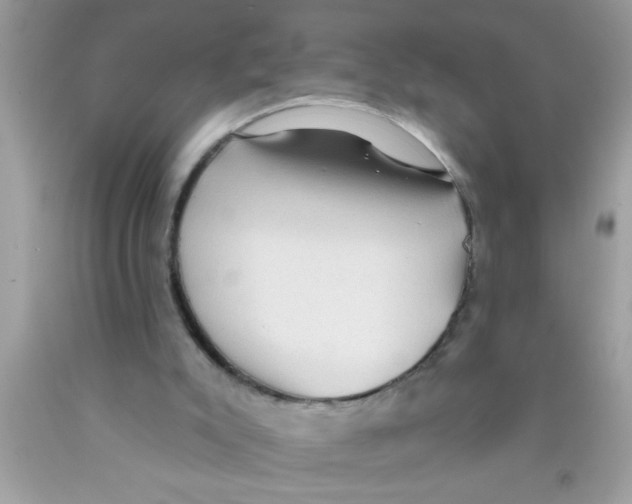 X0000089860007200707262138