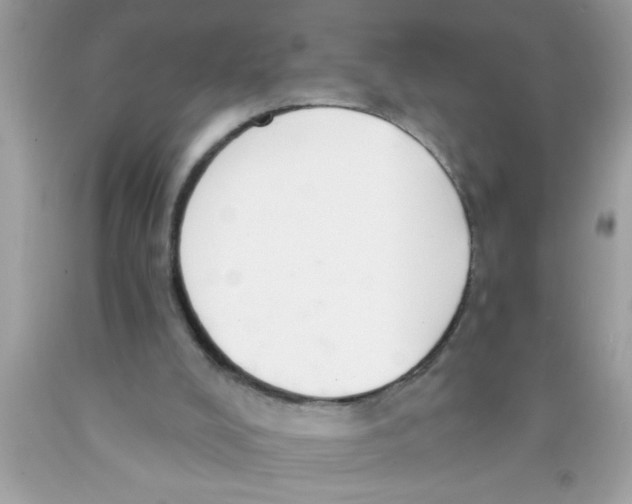 X0000089860008200707262138