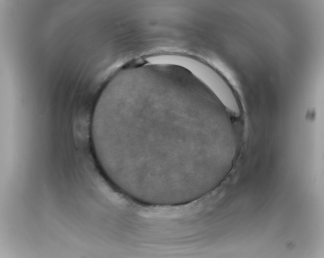 X0000089860009200707262138