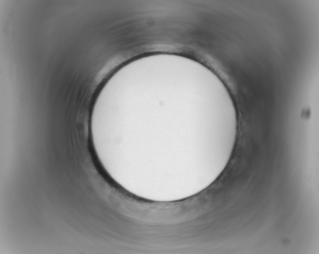 X0000089860011200707262138