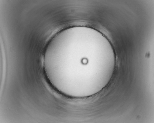 X0000089860013200707262138