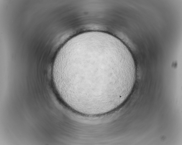 X0000089860014200707262138