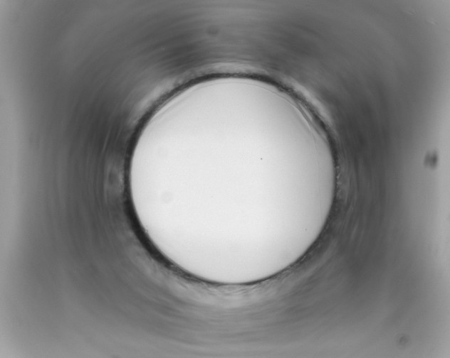 X0000089860015200707262138