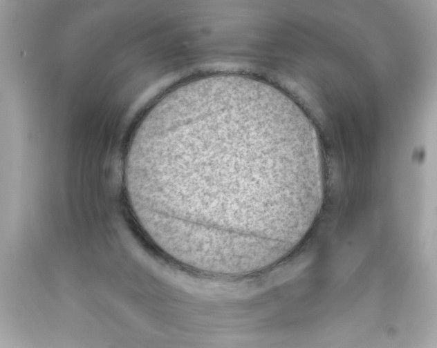 X0000089860016200707262138