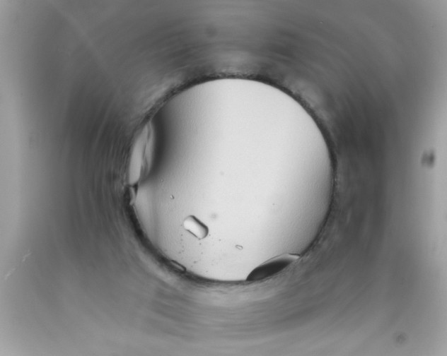 X0000089860017200707262138