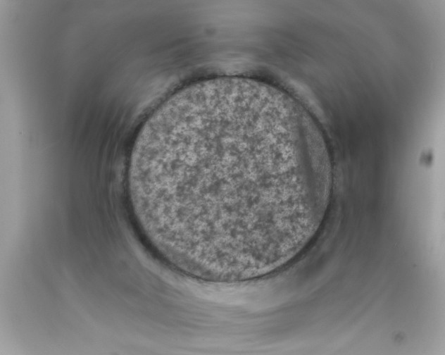 X0000089860018200707262138