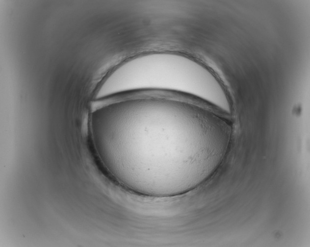 X0000089860019200707262138