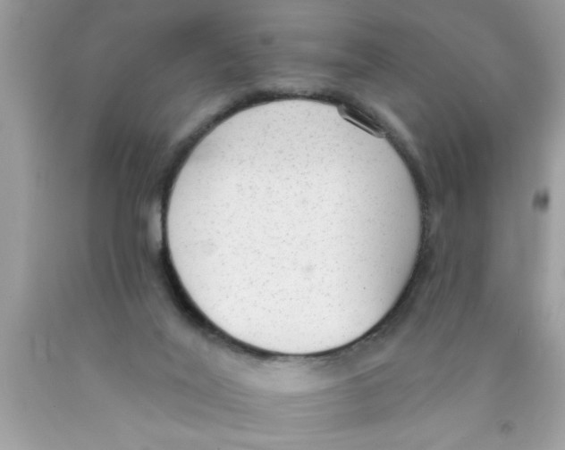 X0000089860020200707262138