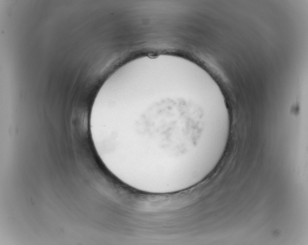 X0000089860021200707262138