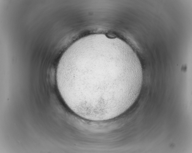 X0000089860022200707262138