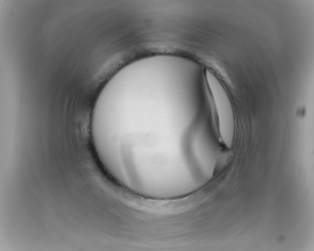 X0000089860023200707262138