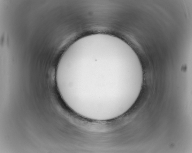 X0000089860024200707262138