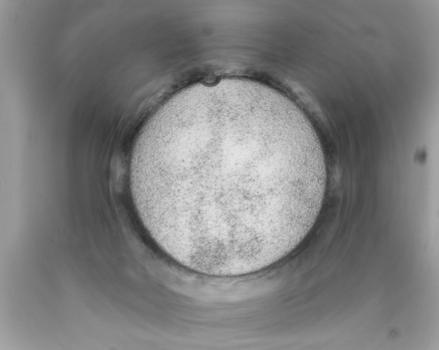 X0000089860026200707262137