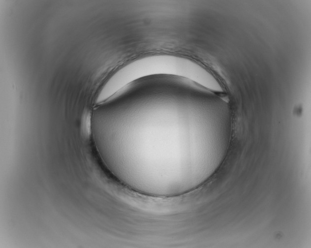 X0000089860027200707262137