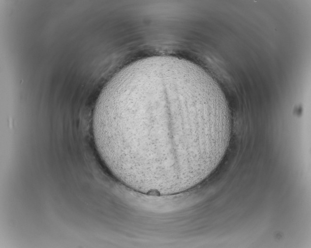 X0000089860030200707262137