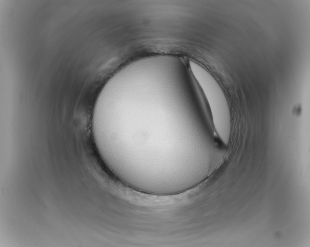 X0000089860031200707262137