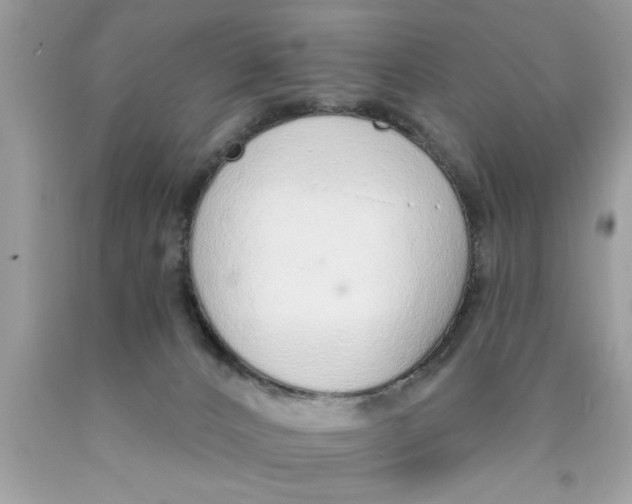 X0000089860032200707262137