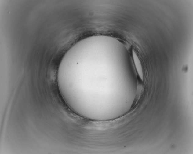 X0000089860033200707262137