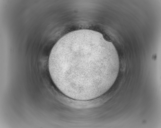 X0000089860034200707262137