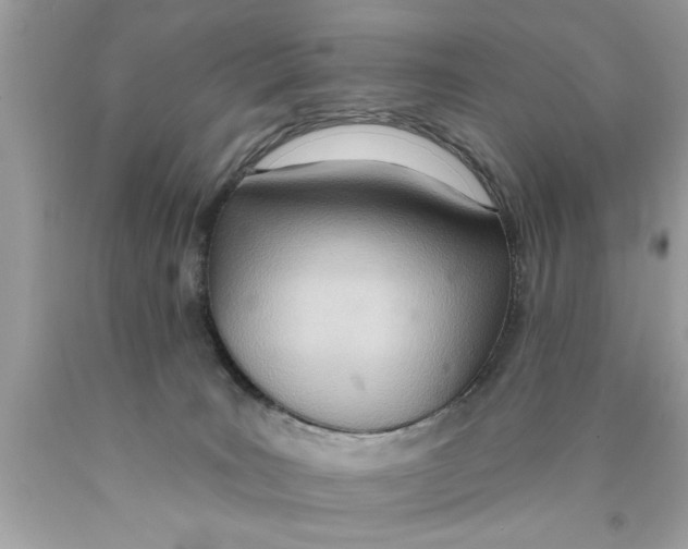 X0000089860035200707262137