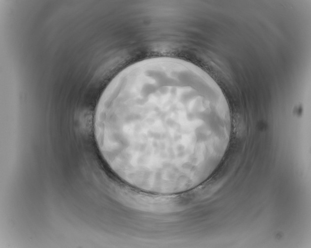 X0000089860036200707262137
