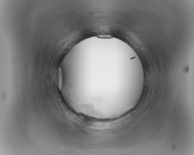 X0000089860037200707262137