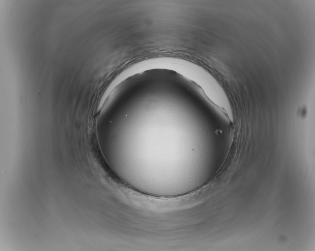 X0000089860039200707262137