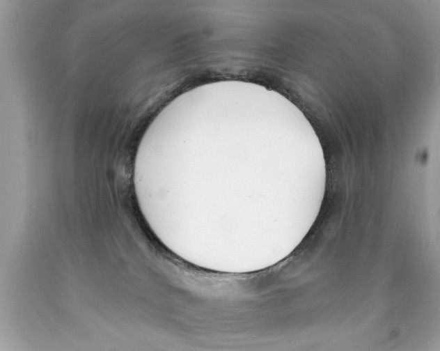 X0000089860040200707262137