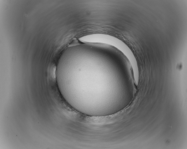 X0000089860041200707262137