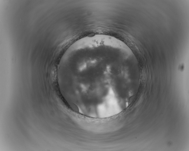 X0000089860043200707262137