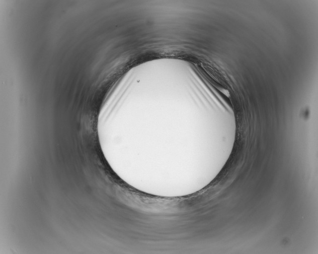 X0000089860044200707262137