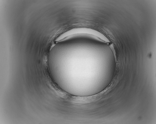 X0000089860045200707262137