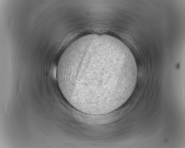 X0000089860046200707262137