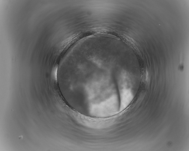 X0000089860047200707262137