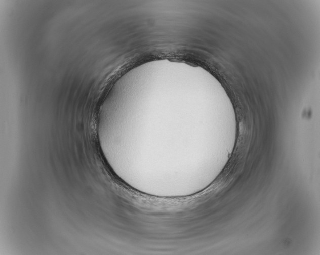 X0000089860048200707262137