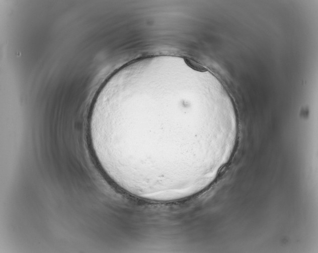 X0000089860049200707262137