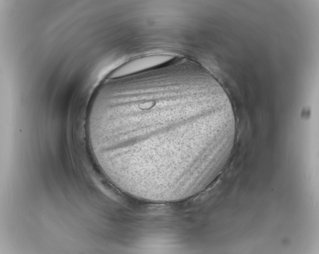 X0000089860050200707262137
