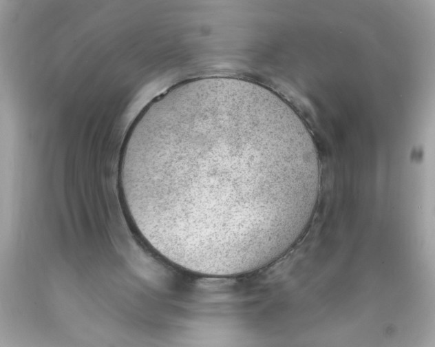 X0000089860051200707262137