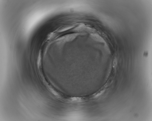 X0000089860052200707262137