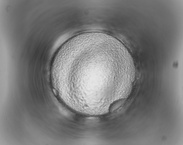 X0000089860053200707262137